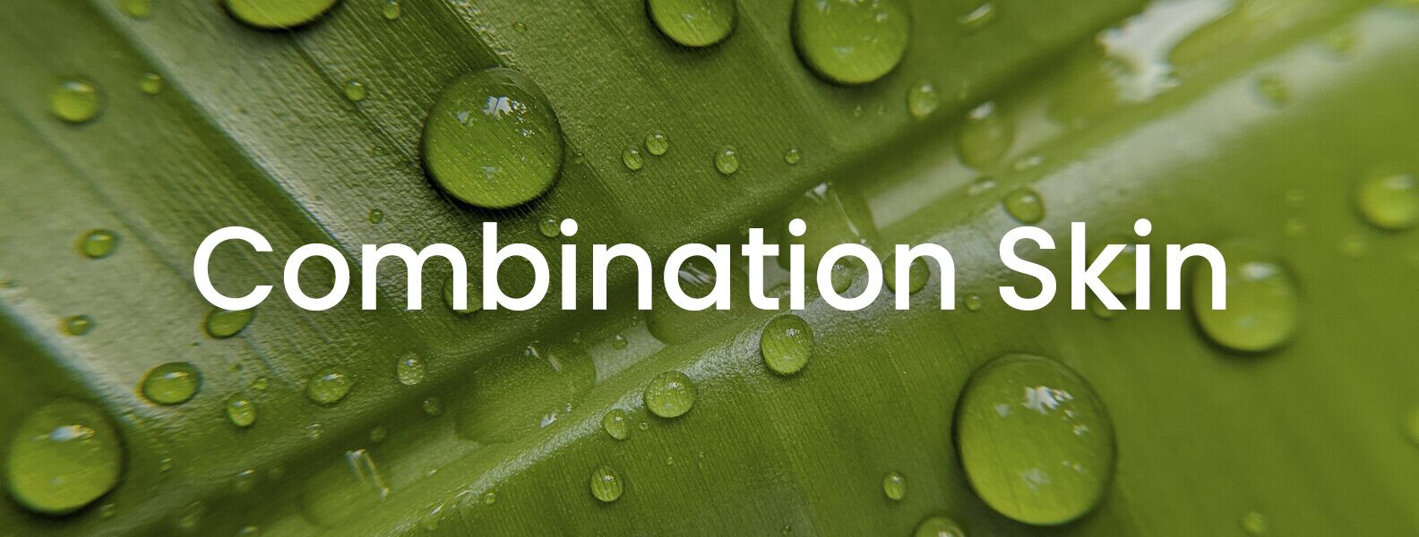 Combination Skin Facial Treatment 1 combination_skin _header