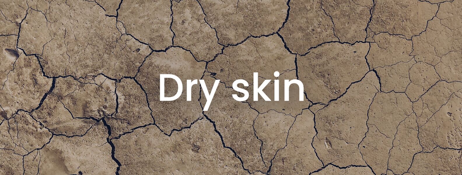 Dry Skin Facial Treatment 1 dry skin header